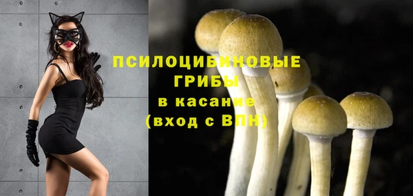а пвп мука Алзамай