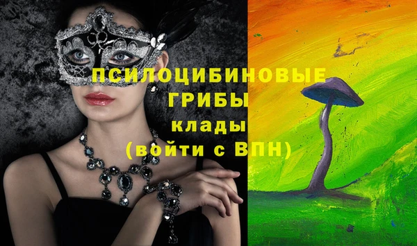 а пвп мука Алзамай