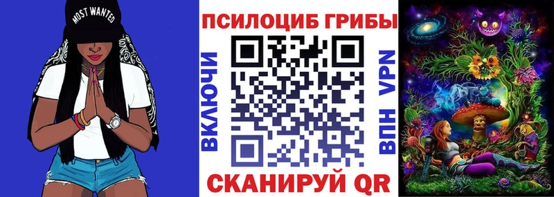 Псилоцибиновые грибы мицелий  где найти наркотики  Сатка 